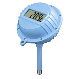 Thermomètre Piscine Digital IHM 9257AT