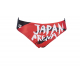 ARENA COUNTRY FLAGS Brief - Japan Flag -Maillot Natation Homme