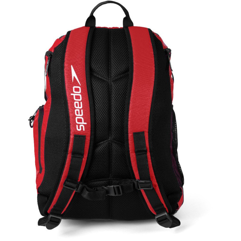 Speedo TEAMSTER 2.0 RUCKSACK 35L Red - Sac à dos  natation et piscine