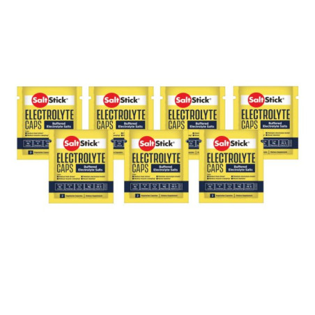 Pastilles electrolyte à croquer SALTSTICK Fastchew Electrolyte caps Vegetarian - 4 pastilles | Les4Nages