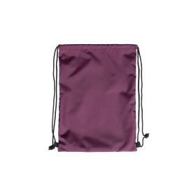  Arena One Go  Swimbag Plum