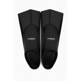 CoreFins SWEAMS 2025 - Mini...