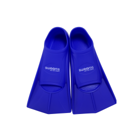 CoreFins SWEAMS 2025 - Mini...